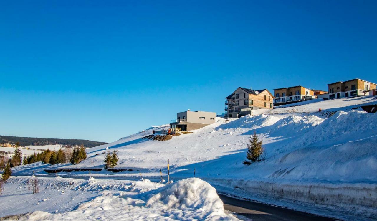 Wellness Villa Klinovec Views Loučná pod Klínovcem Buitenkant foto