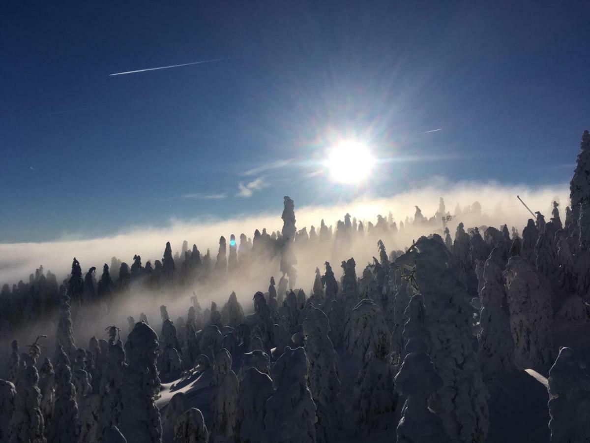 Wellness Villa Klinovec Views Loučná pod Klínovcem Buitenkant foto